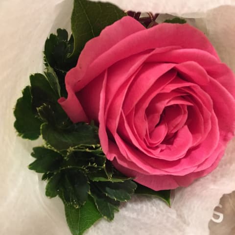お届けブーケ写真（entry-12259861309）