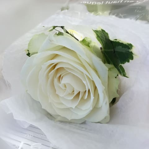 お届けブーケ写真（entry-12260145206）