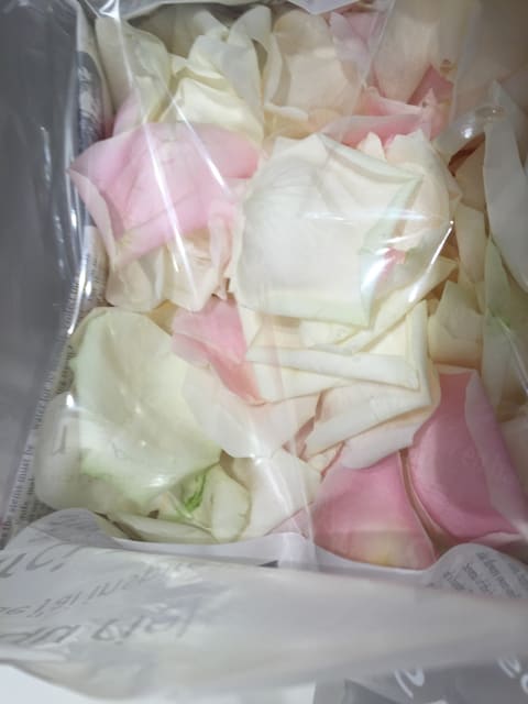 お届けブーケ写真（entry-12272125607）