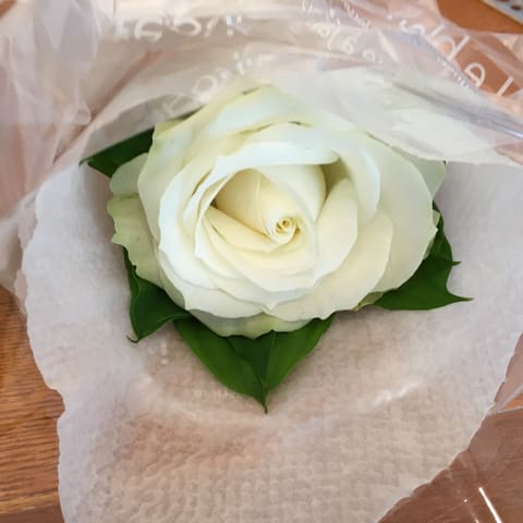 お届けブーケ写真（entry-12288666791）