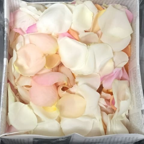 【芝公園　Ｔｈｅ　Ｐｌａｃｅ　ｏｆ　Ｔｏｋｙｏさんへお届け　挙式用として、東京花小街１番人気のユの納品ブーケ写真