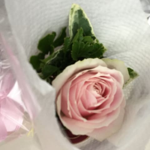 お届けブーケ写真（entry-12343985721）